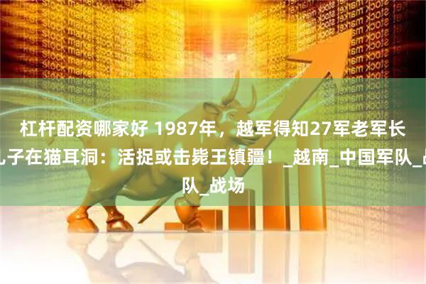 杠杆配资哪家好 1987年，越军得知27军老军长的儿子在猫耳洞：活捉或击毙王镇疆！_越南_中国军队_战场